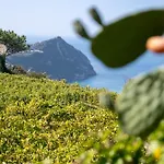 Punta Chiarito Resort&apartments Hotel Forio di Ischia