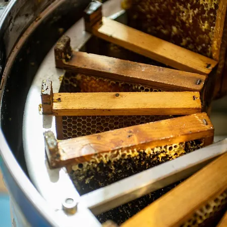 Punta Chiarito Otel 4*