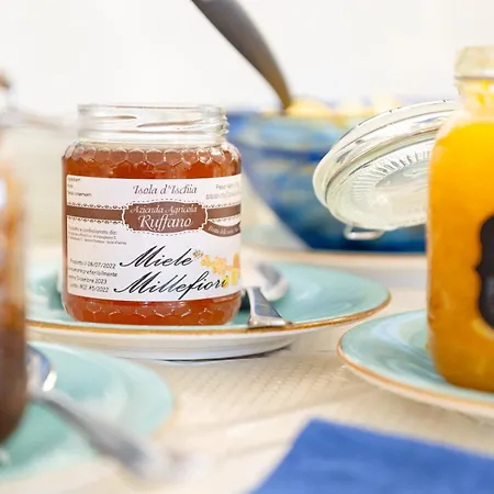 Otel Punta Chiarito Forio di Ischia