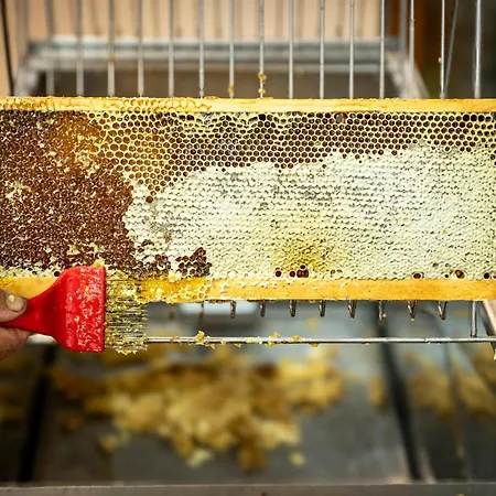 Punta Chiarito Otel 4*