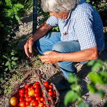 Punta Chiarito 4* Forio di Ischia
