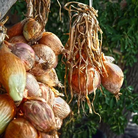 Otel Punta Chiarito 4*