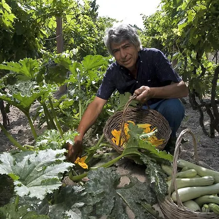 Otel Punta Chiarito Forio di Ischia