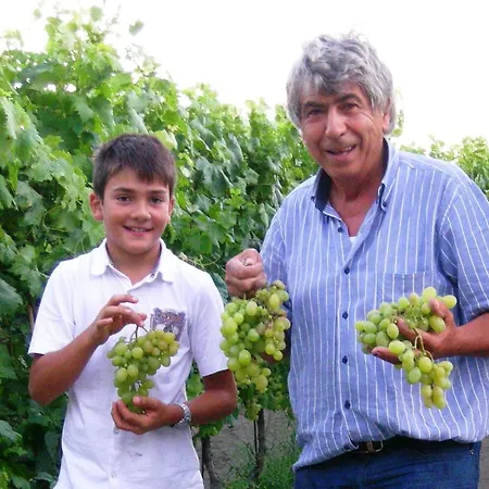 Punta Chiarito Otel Forio di Ischia