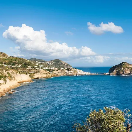 ホテル Punta Chiarito Forio di Ischia