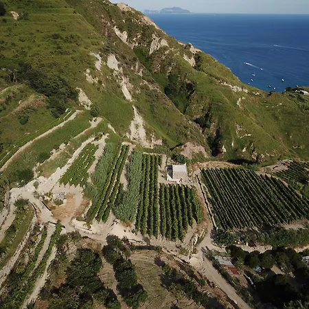 Punta Chiarito Hotel 4*