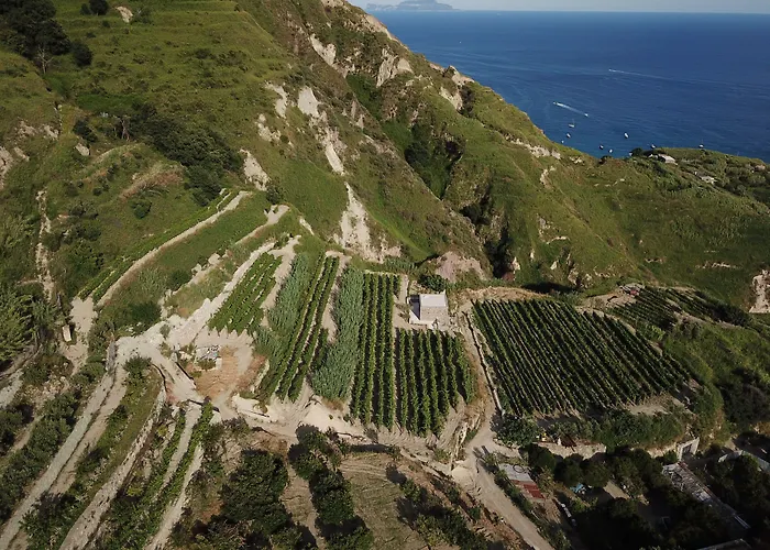 Punta Chiarito ホテル 4*