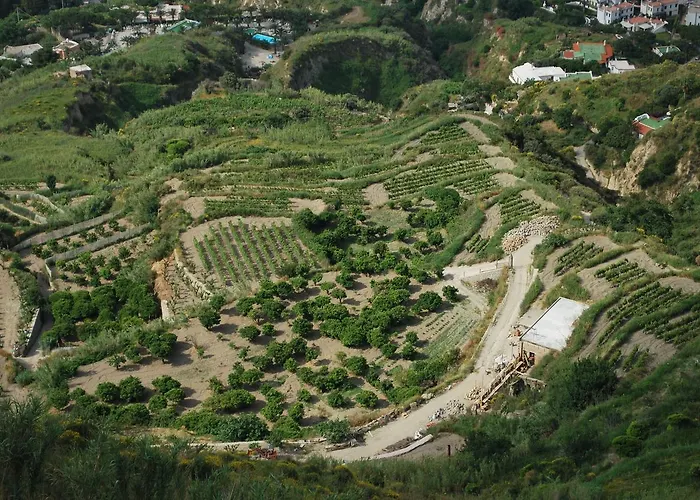 ホテル Punta Chiarito