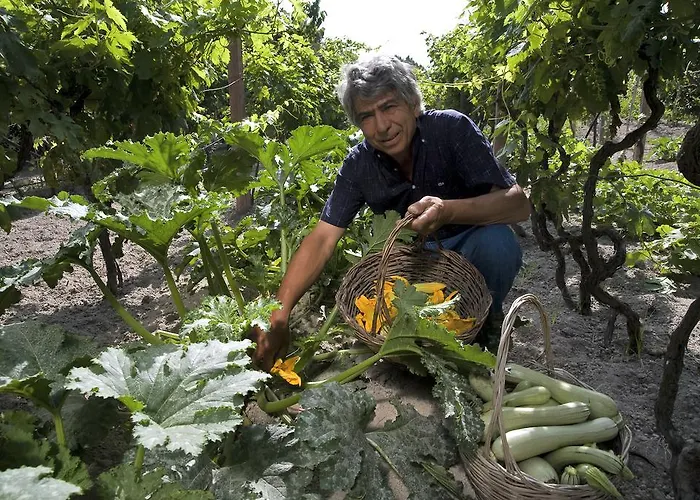 ホテル Punta Chiarito Forio di Ischia