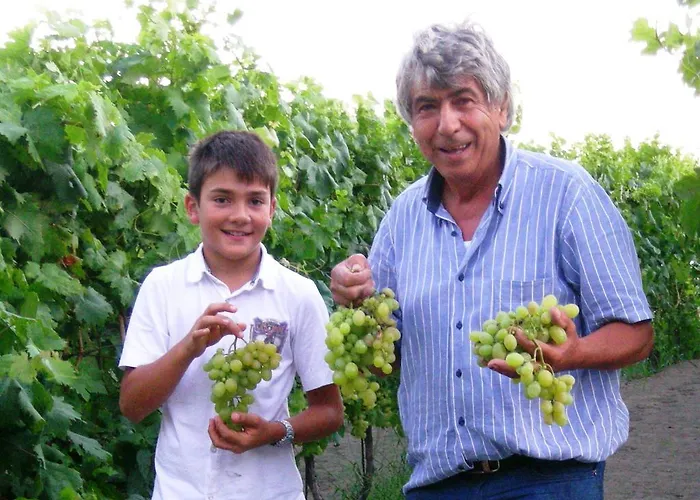 Punta Chiarito ホテル Forio di Ischia