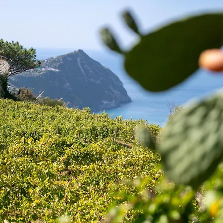 Punta Chiarito Hotel Forio (Isola d'Ischia)